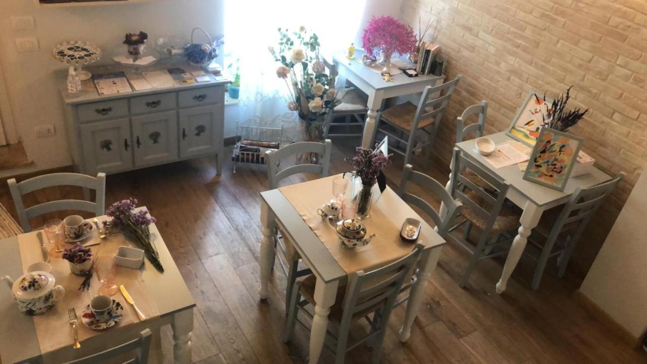 B&B Domar Civitanova Marche Eksteriør billede